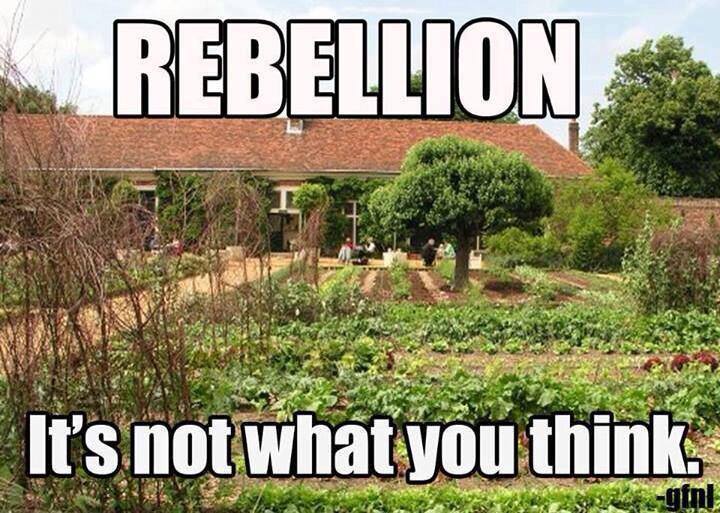 Rebellion it's not what you think