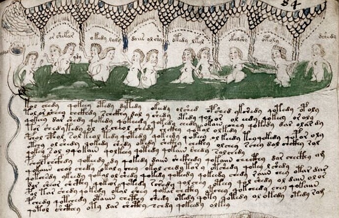 Voynich_Manuscript_E