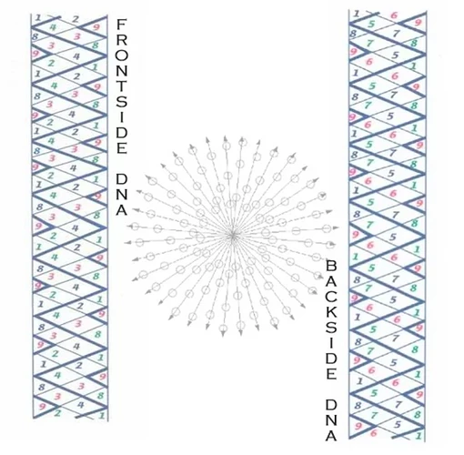 24.PNG