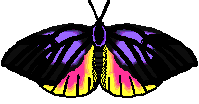 califdg2