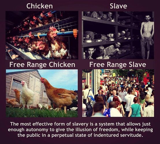 slaves.jpg.888767a8b6bef0f489be05b7ad182969