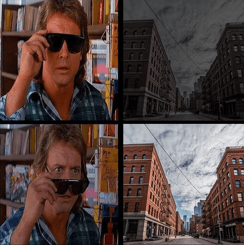 they dont live