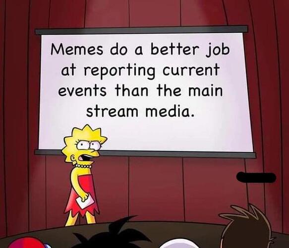 memes reportting