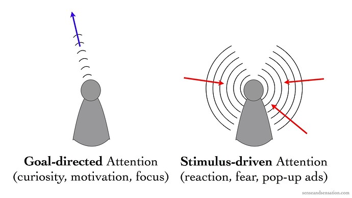 Types-of-Attention