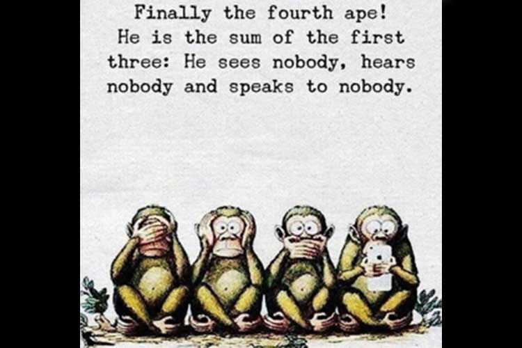 ape