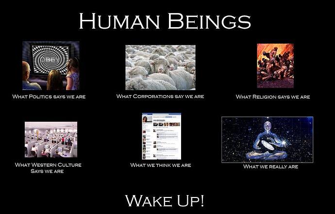 whakeup!