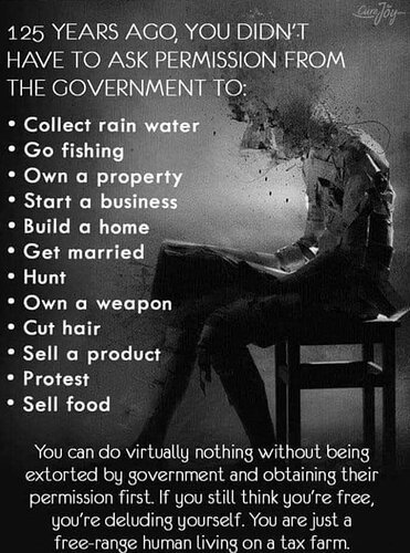 -5093637420292877202_121.jpg.fb60d1ca925140a651590184781b0129
