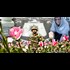 History Channel exposing CIA's involvement in drug trafficking,
