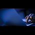 FBI seized 23 Tor-hidden child porn sites, deployed malware from them