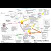 Found this Cabal/DeepState Ratlines Diagram...