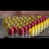 Infant Flesh Capsules Seized in S. Korea!! #PizzaGate #WalnutSauce
