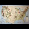 411 Park Clusters of Missing Persons Across America