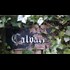 #pizzagate - Inside the Haitian Meat Market