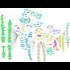 Soros MindMap from /v/webofslime