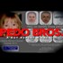 Tony and John PODESTA - The Pedo Bros - Video Please share