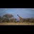 Is National Geographic Complicit in a Form of Child Abuse?