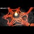 Breaking: Top Democrats Admit To Conducting Satanic Rituals Murders